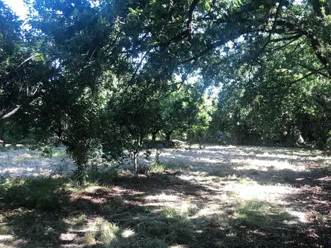 Terreno en Alquiler en Los Cardales, $ 1.300.000