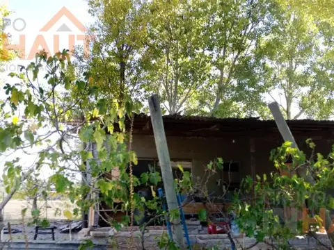 China Muerta, Plottier