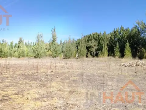 Chacra en  VENTA China Muerta Plottier