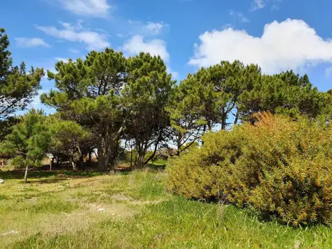 Terreno en Venta 40  mts Fondo