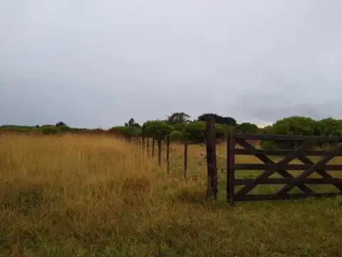 Terreno en Venta 10  mts Frente