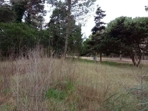 Terreno en Venta de 992,0 m2