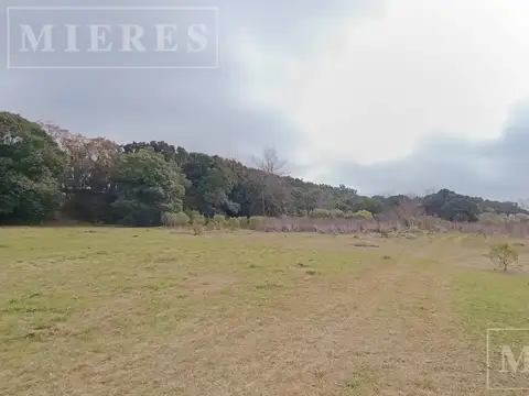 Terreno en Venta de 172000,0 m2