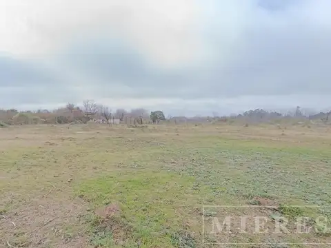 Fraccion de 172.000m2 (17,2 HA)  en venta Loma Verde