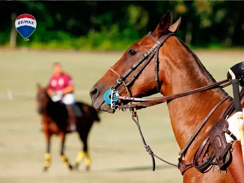 Terreno en Venta en Los Tres Pinos, USD 18.000