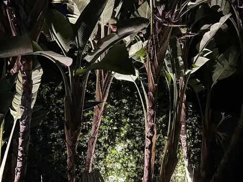 Casa en Alquiler Temporal Verano en Punta Chica,  Zona Norte