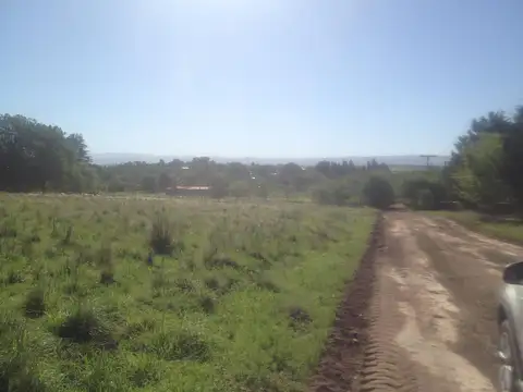 Terreno en Venta de 935,0 m2