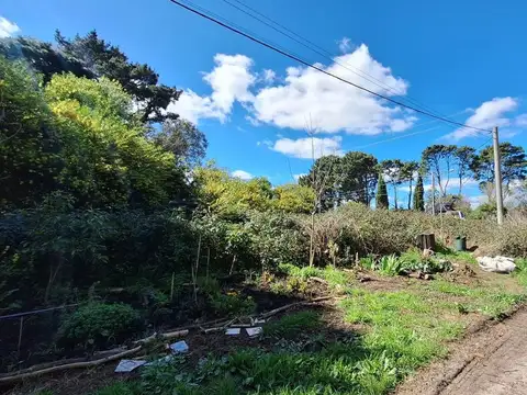 Terreno en Venta de 596,0 m2