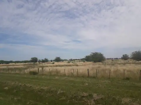 Campo en Venta de 129  ha