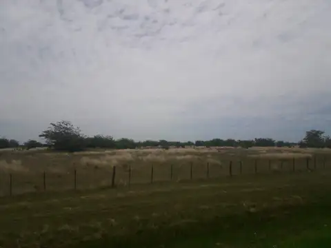 Campo en Venta Ganadero