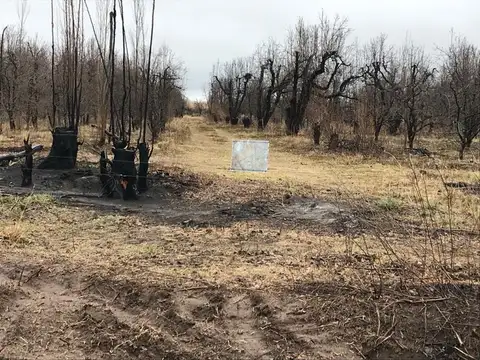 Venta Chacra en Rio Colorado financiado