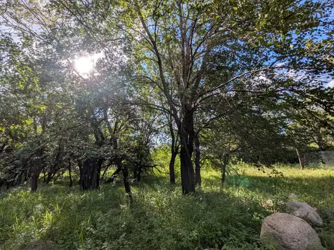 Terreno en Venta en Villa De Las Rosas, USD 25.000