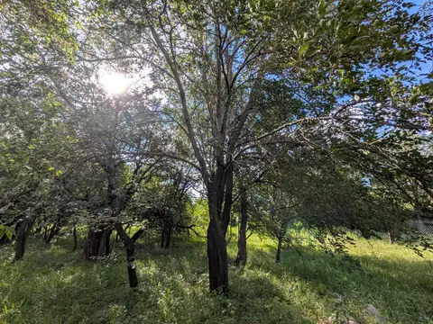 Villa las Rosas, Traslasierra , Piso Vil
