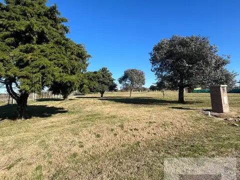 Terreno en Venta 50  mts Fondo