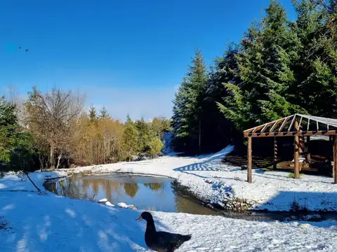 Chacra en venta Trevelin - Callejon Williams - Loteo Los Ciervos