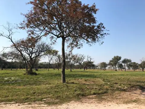 Ruta 11 km 1010 - Sobre ruta - 2500m2 cada uno