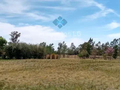 Terreno en Venta en Sinsacate, USD 55.000