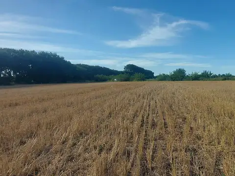 Venta de campo en la zona de Mercedes- San Andrés de Giles próximo a Autopista Ruta 7