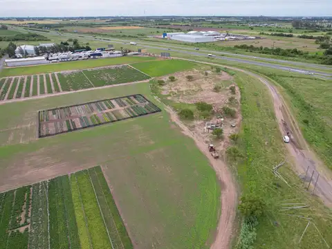 Campo industrial en venta – 4 hectáreas sobre Ruta 9, acceso Arroyo Seco