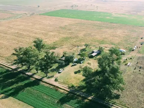 Campo en  estacion diaz