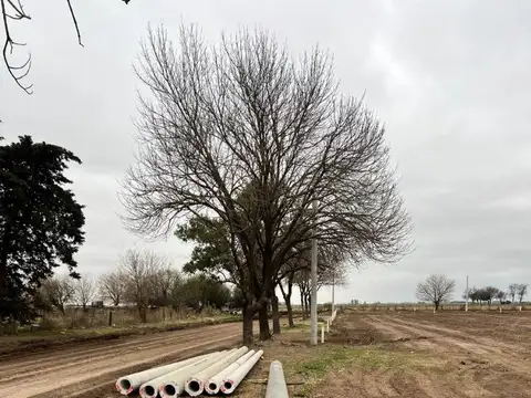 Bv. General Martin Guemes