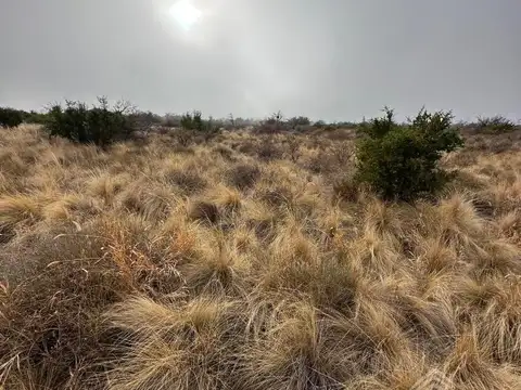 Campo en Ruta 1-Villa Larca San Luis  - 85 has con vista a las sierras 