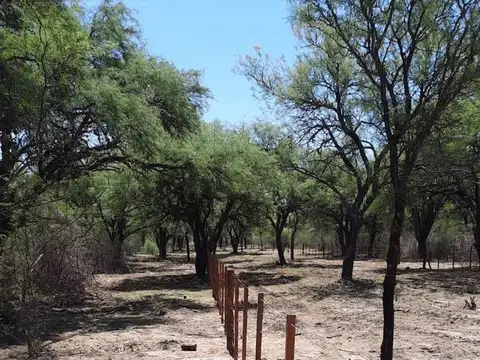 Luyaba, Traslasierra, Cordoba