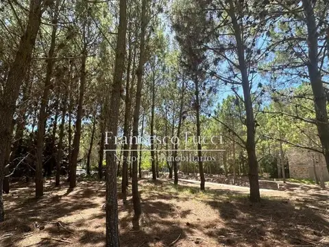 Av. Verde De Circunvalación Lote / N° 0