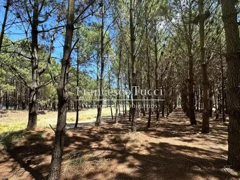 Lote en venta Barrio La Herradura Pinamar