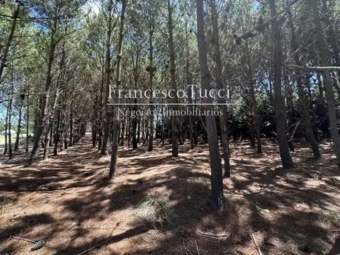 Terreno en Venta en Pinamar, USD 310.000