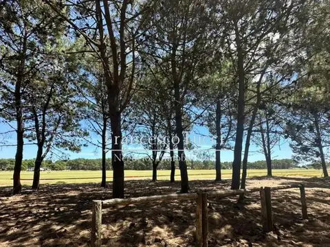 Terreno en Venta de 1571,0 m2