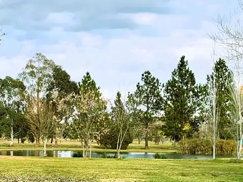 Lote en Venta Miralagos 2