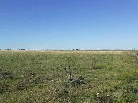 Campo en venta - 33.800.000Mts2 - San Cayetano