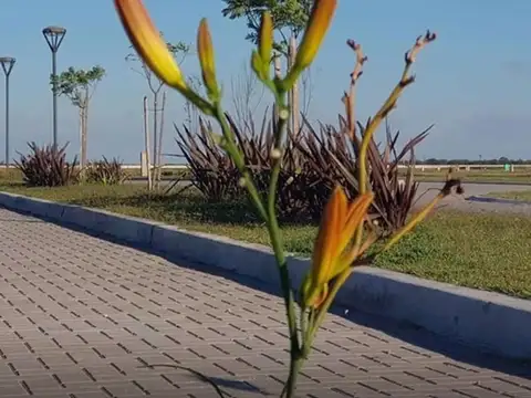 LOTE EN VENTA BARRIO LAS VICTORIAS -ETAPA 2