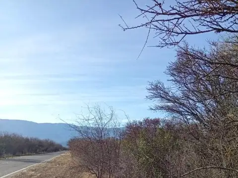 Terreno en Venta de 10000,0 m2