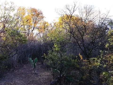 ALOJA - Vendo Lote de 6.000 m² en Las Vertientes, San Marcos Sierras