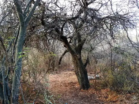 Terreno en Venta de 6000,0 m2