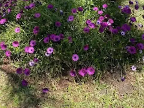 Complejo de cuatro cabañas en General Belgrano