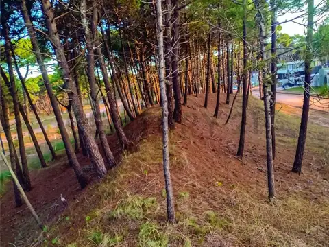 Lote en venta en Pinamar Barrio Pioneros