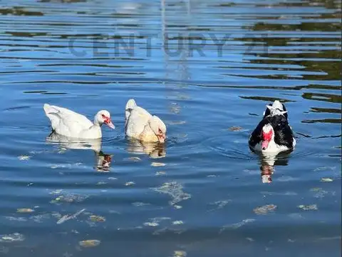 Terreno en Venta de 887,0 m2