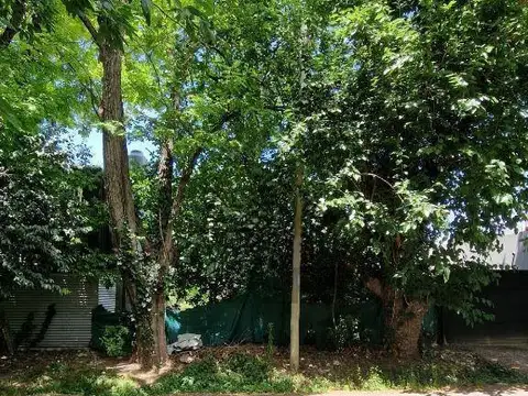 Terreno en Venta 10  mts Frente