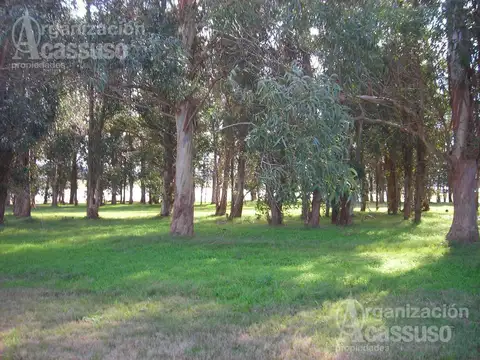 Terreno en Venta de 5086,0 m2