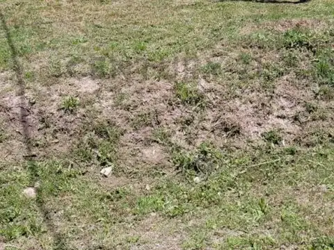 Terreno en Venta en Villa Parque Sicardi, USD 19.000