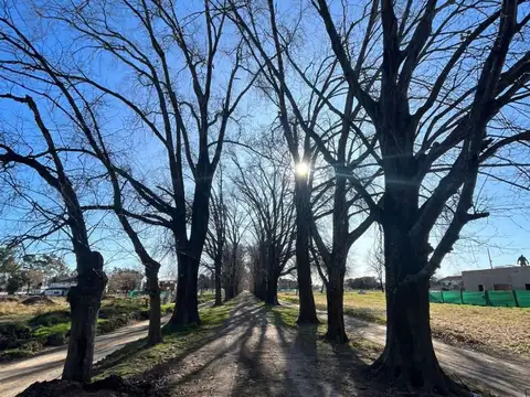 Terreno en Venta 15  mts Frente