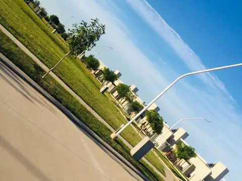 Leda Actis de Torasa 600