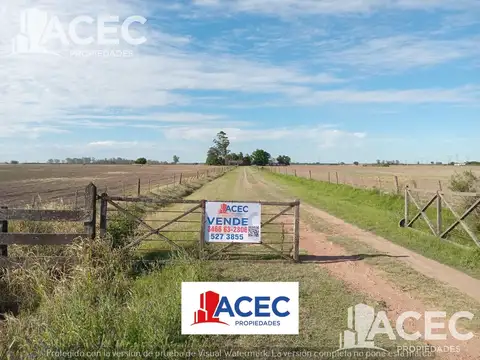 Campo de 3,4 has, sobre Ruta 91, Oliveros