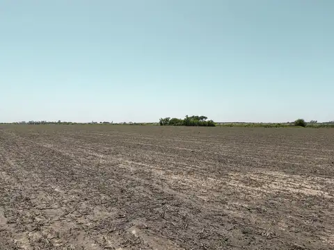 Chovet '36,2 hectareas