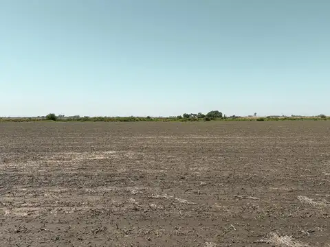 Campo de 36,2 hectareas con escrituración inmediata y alto potencial productivo