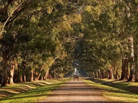 Terreno en Venta de 3861,0 m2