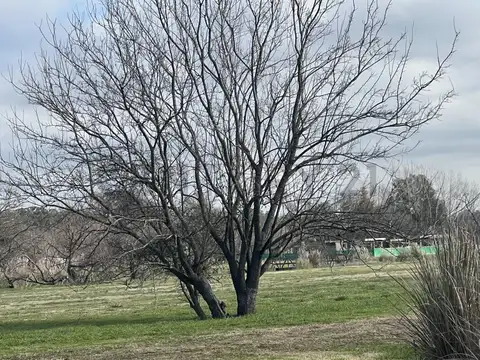 Terreno en Venta en Carlos Spegazzini, USD 76.000